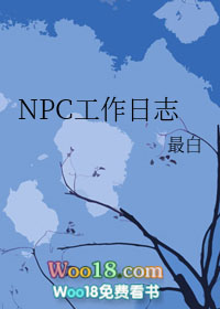 NPC工作日志