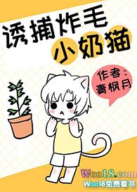 诱捕炸毛小奶猫